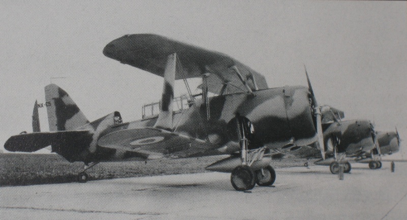 Curtiss Helldiver SBC4  [Classic Aiframes] 1/48 Img_9725