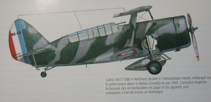Curtiss Helldiver SBC4  [Classic Aiframes] 1/48 Img_9726