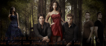 The Vampire Diaries...A new Another World! Logo12