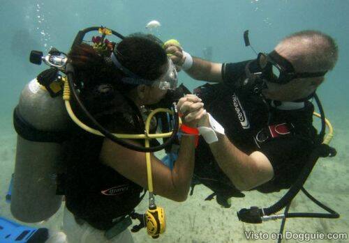 Boda debajo del agua Boda-d15