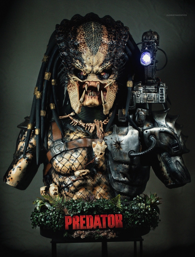 Collection n°236 : GLORIOUS/ Sideshow Lord of Darkness Life size BUST ! 23/01 - Page 27 35546710