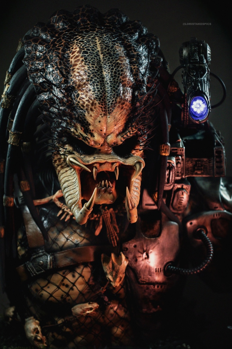 Collection n°236 : GLORIOUS PREDATOR LIFE SIZE BUST 21/06 ! - Page 27 35547210