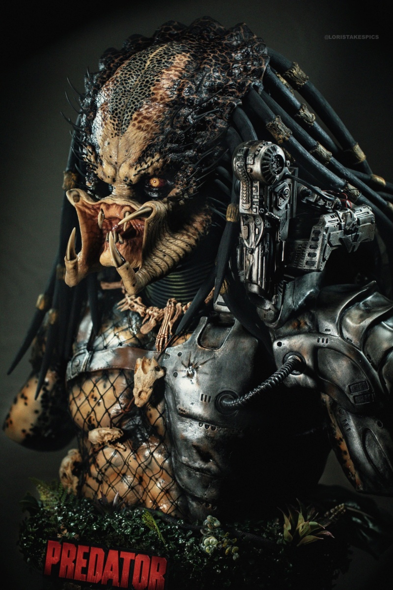 Collection n°236 : GLORIOUS PREDATOR LIFE SIZE BUST 21/06 ! - Page 27 35547710