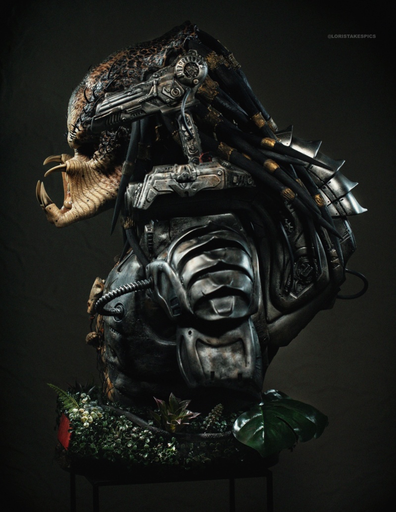 Collection n°236 : GLORIOUS PREDATOR LIFE SIZE BUST 21/06 ! - Page 27 35562011