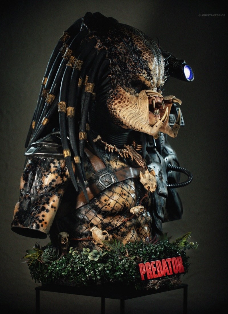 Collection n°236 : GLORIOUS PREDATOR LIFE SIZE BUST 21/06 ! - Page 27 35583511