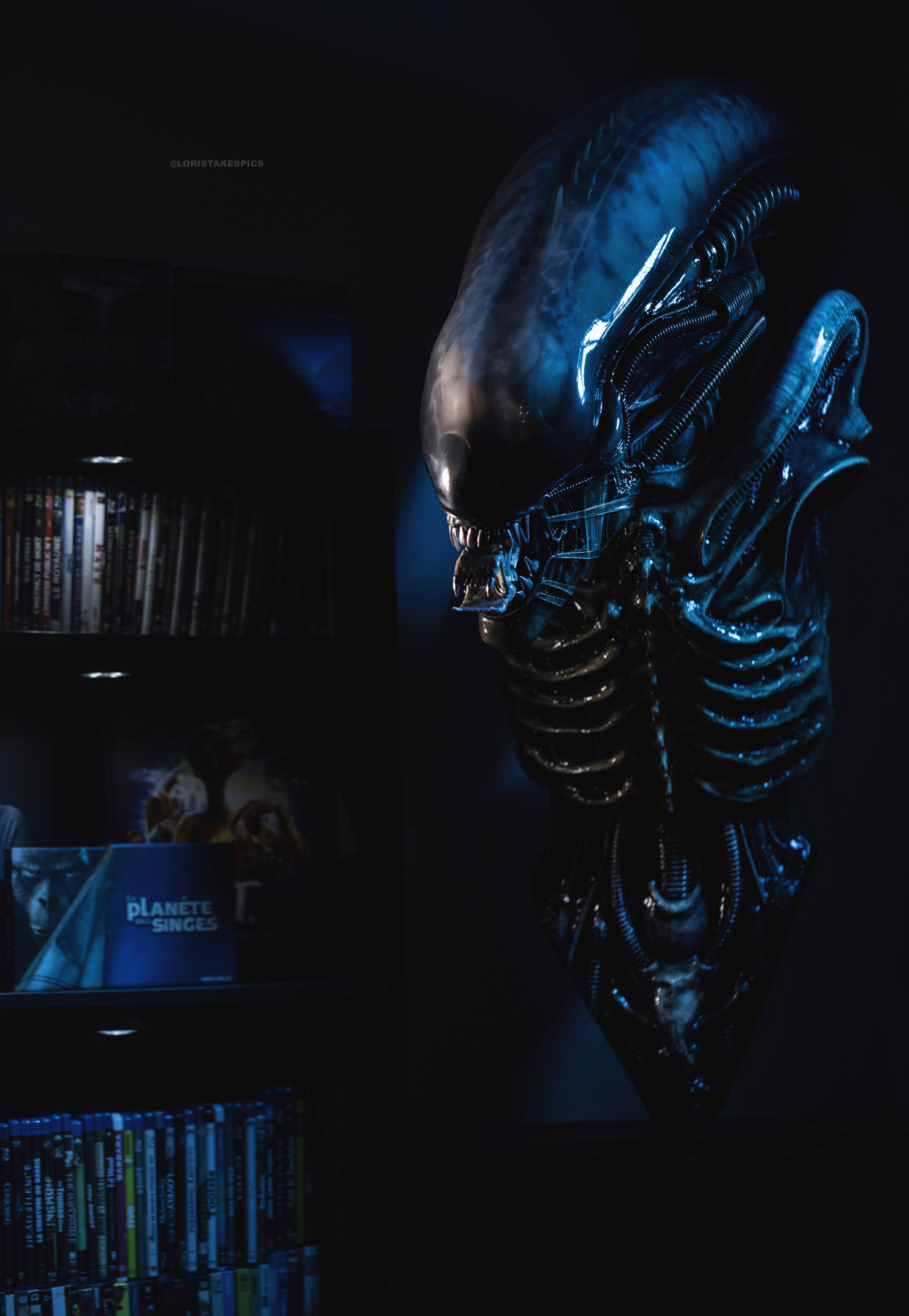 Collection n°236 : GLORIOUS/ Sideshow Lord of Darkness Life size BUST ! 23/01 - Page 28 Alien110