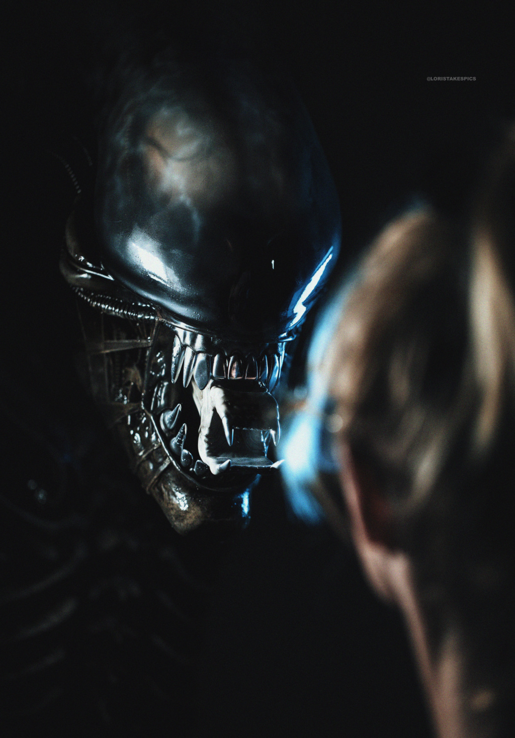 Collection n°236 : GLORIOUS/ Sideshow Lord of Darkness Life size BUST ! 23/01 - Page 28 Alien111