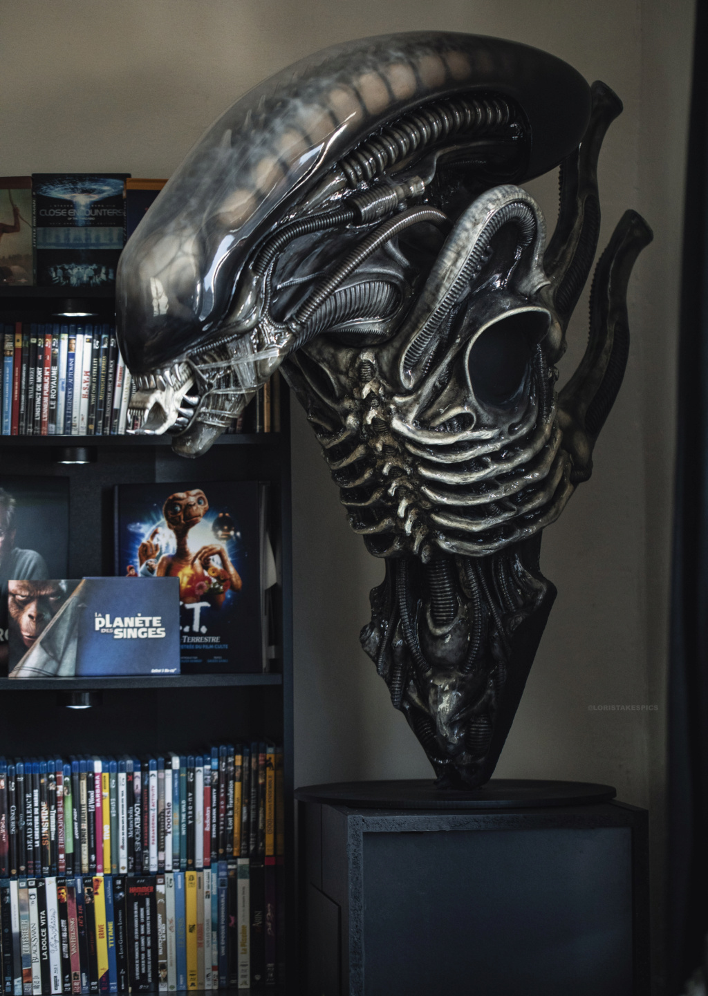 Collection n°236 : GLORIOUS/ Sideshow Lord of Darkness Life size BUST ! 23/01 - Page 28 Alien210