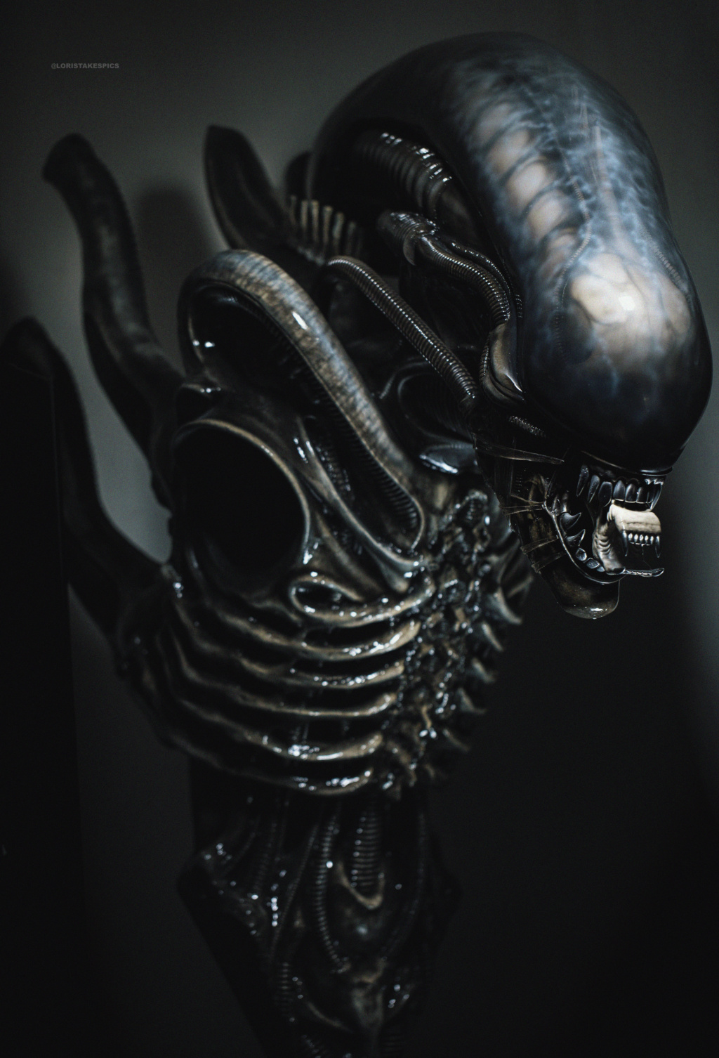 Collection n°236 : GLORIOUS/ Sideshow Lord of Darkness Life size BUST ! 23/01 - Page 28 Alien310