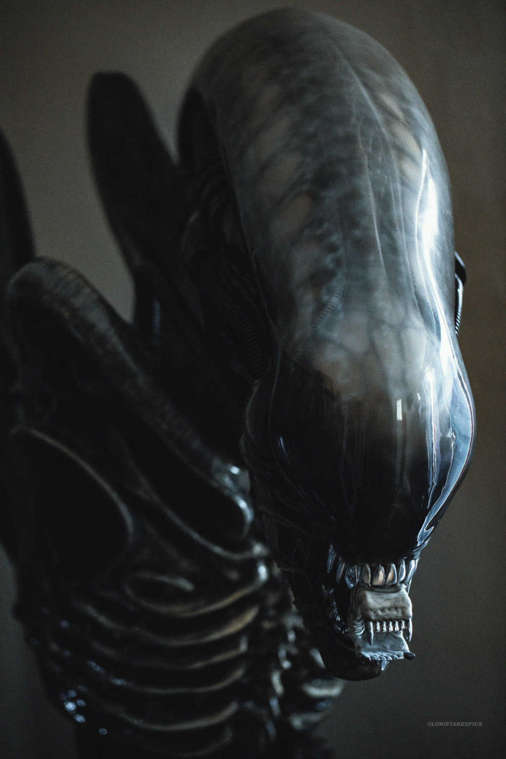 Collection n°236 : GLORIOUS/ Sideshow Lord of Darkness Life size BUST ! 23/01 - Page 28 Alien410