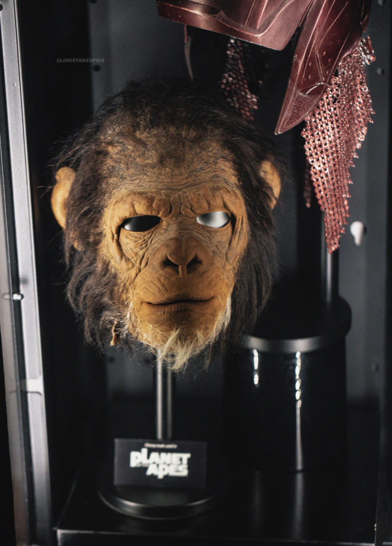 Collection n°236 : GLORIOUS Planet of the Apes 2001 Screen used masks 03/11 - Page 28 Chimp210