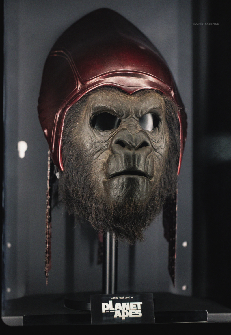 Collection n°236 : GLORIOUS Planet of the Apes 2001 Screen used masks 03/11 - Page 28 Gorill11