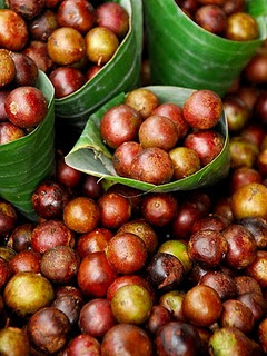 Buah-buahan Indonesia Yang Enak Dan Jarang Ditemui Rukem10