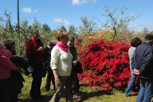 Sortie Quimper 1er mai 2012 56510