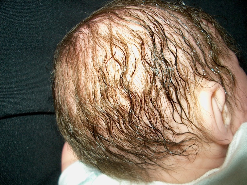 Naked Baby Contest  - Rooted Hair Im003811
