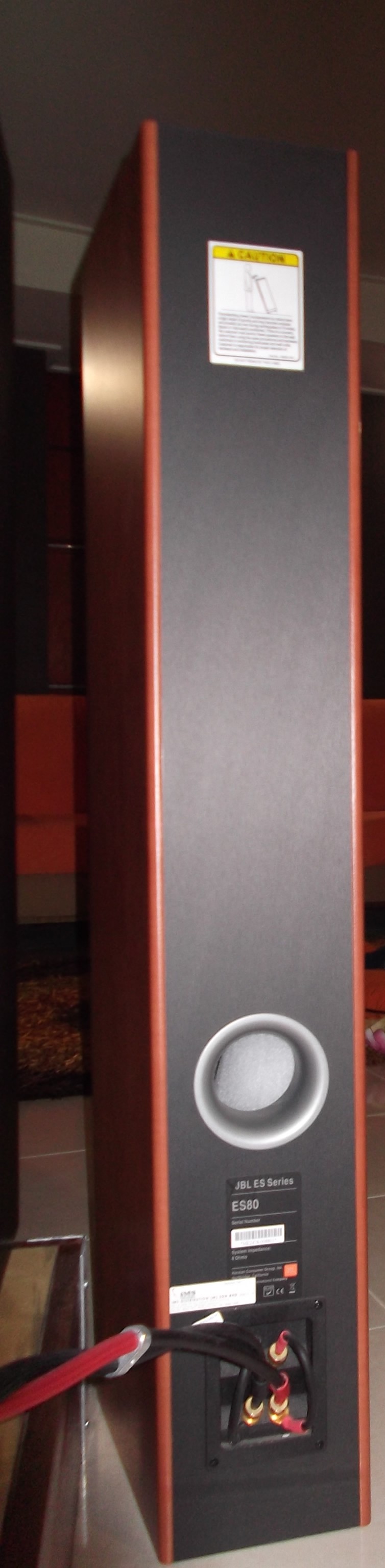 Jbl es80 Floor standing speaker Dscf2316