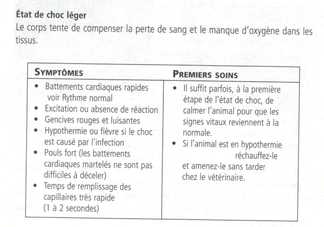 premier - Premier secours 00610