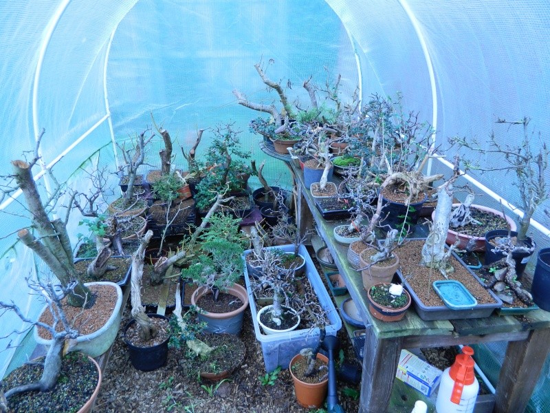 My greenhouse this winter. Dscn0229
