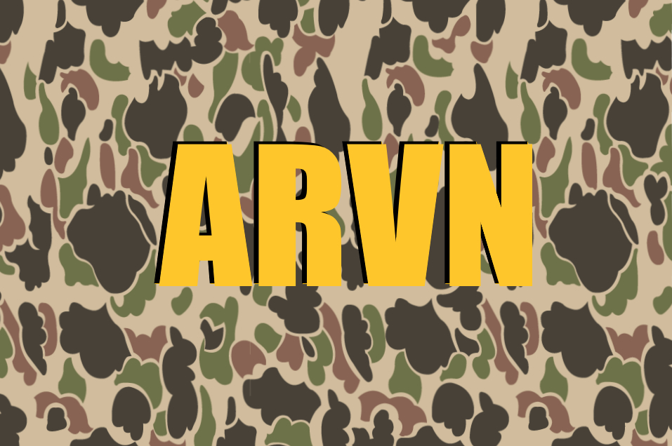 Vos uniformes camouflés de l'ARVN Beo_110