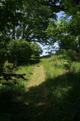 Chez nous au fil des saisons Bois1110