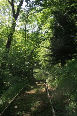 Chez nous au fil des saisons Bois910