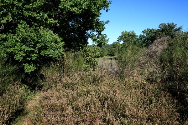 Chez nous au fil des saisons Chemin14