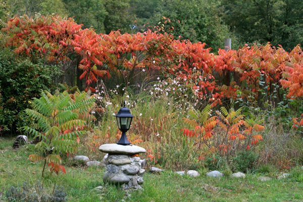 Chez nous au fil des saisons Img_9610