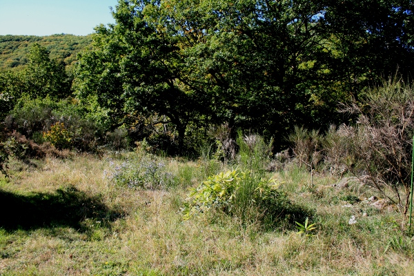 Chez nous au fil des saisons Lande410