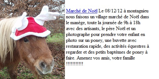 marché de noêl 2 Manage12