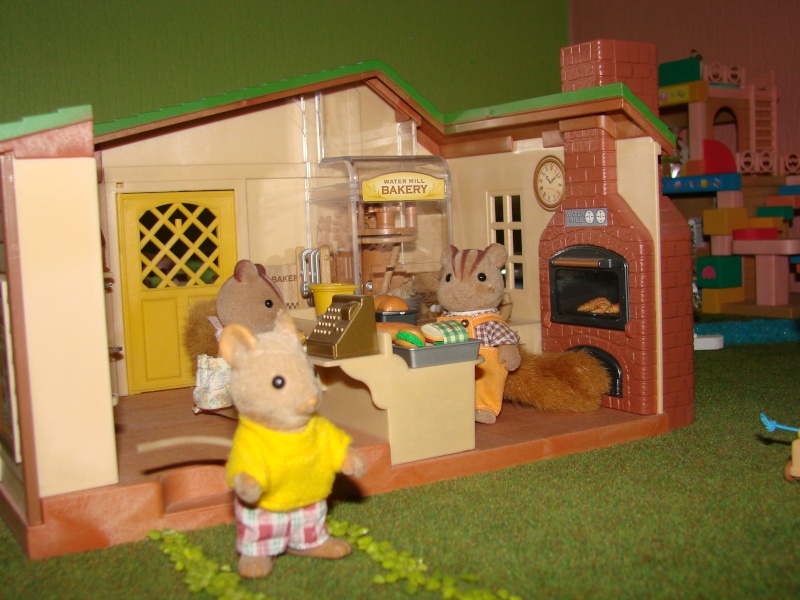 Voici ma collection Sylvanian Dsc02719