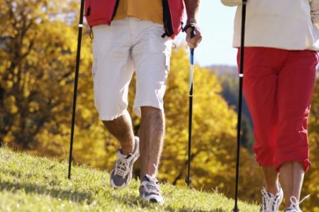 L'écothérapie contre la dépression, le stress et l'anxiété Activi11