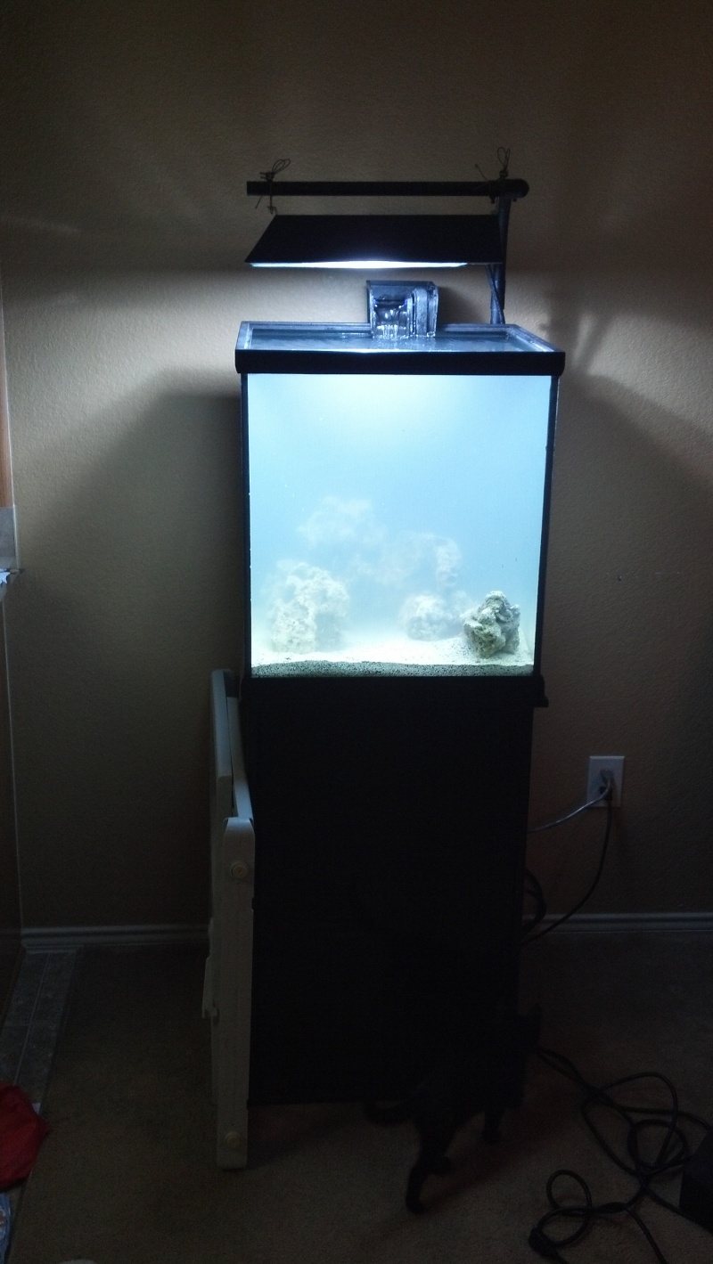 Bought my first saltwater tank 2012-011