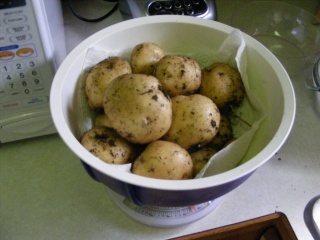 Potatoes - potatoes :) - Page 7 07_21_22