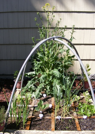 PNW May updates :) Dscf0516