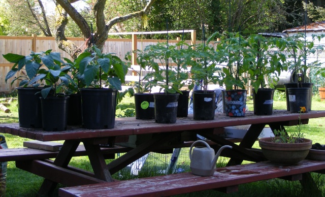 PNW May updates :) Dscf0522