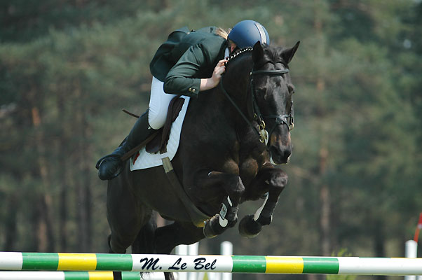 Box 10: Leïa 193 ( poney à venir) Bainal10