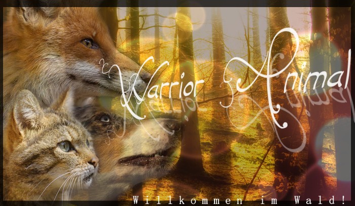 Warrior Animals Warrii10