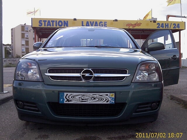 Begonvert...  Vectra10