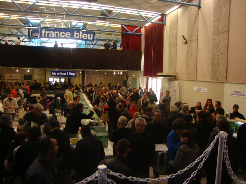 13ème bourse aux poissons à Viviers (07) le 11.03.2012. - Page 2 Tof-3110