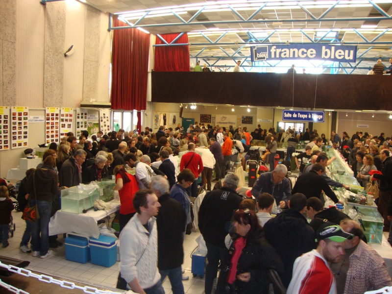 13ème bourse aux poissons à Viviers (07) le 11.03.2012. - Page 2 Tof-3210
