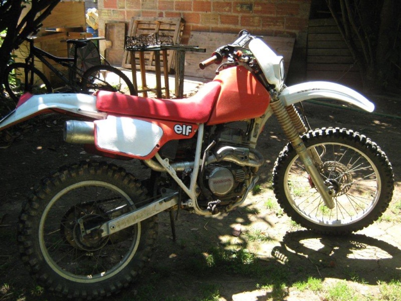 novice d'xr250R  1985 Img_0513