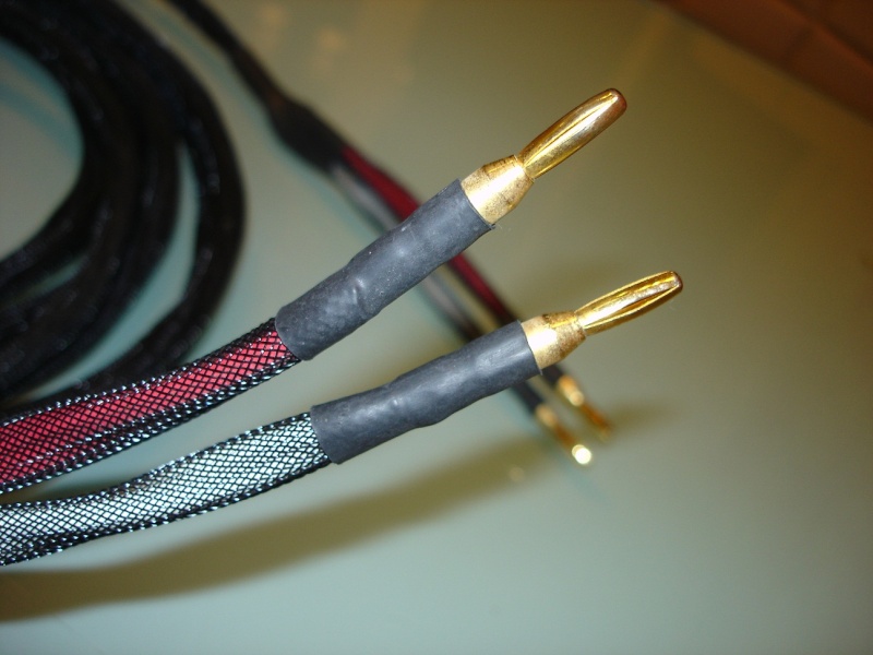 Zu Cable Gauge Speaker Cable (Sold)  Dsc00419