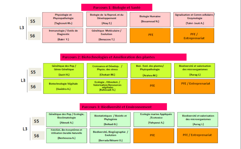 Parcours de spécialités : Filiere SVI Svi210