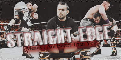 Banniere CM Punk - Page 2 30az5f10