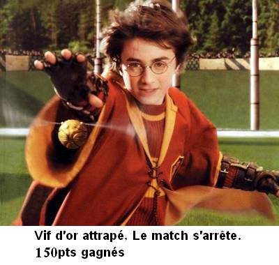 Explications du quidditch 113