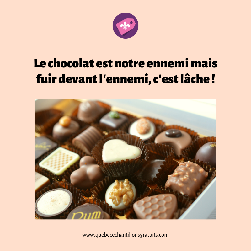 Manger du chocolat tous les jours peut être bénéfique pour la santé ! 75550310