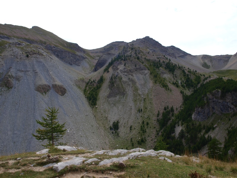 Montagne cet été P8121710