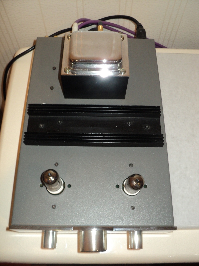 Menthor Integra valve amp (revised) Dsc05527