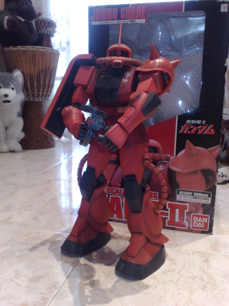 gundam jumbo zaku 24052010