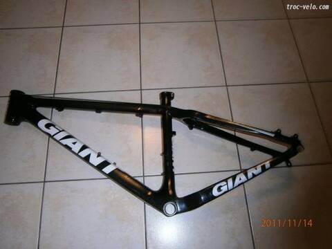 scott scale 35 2011